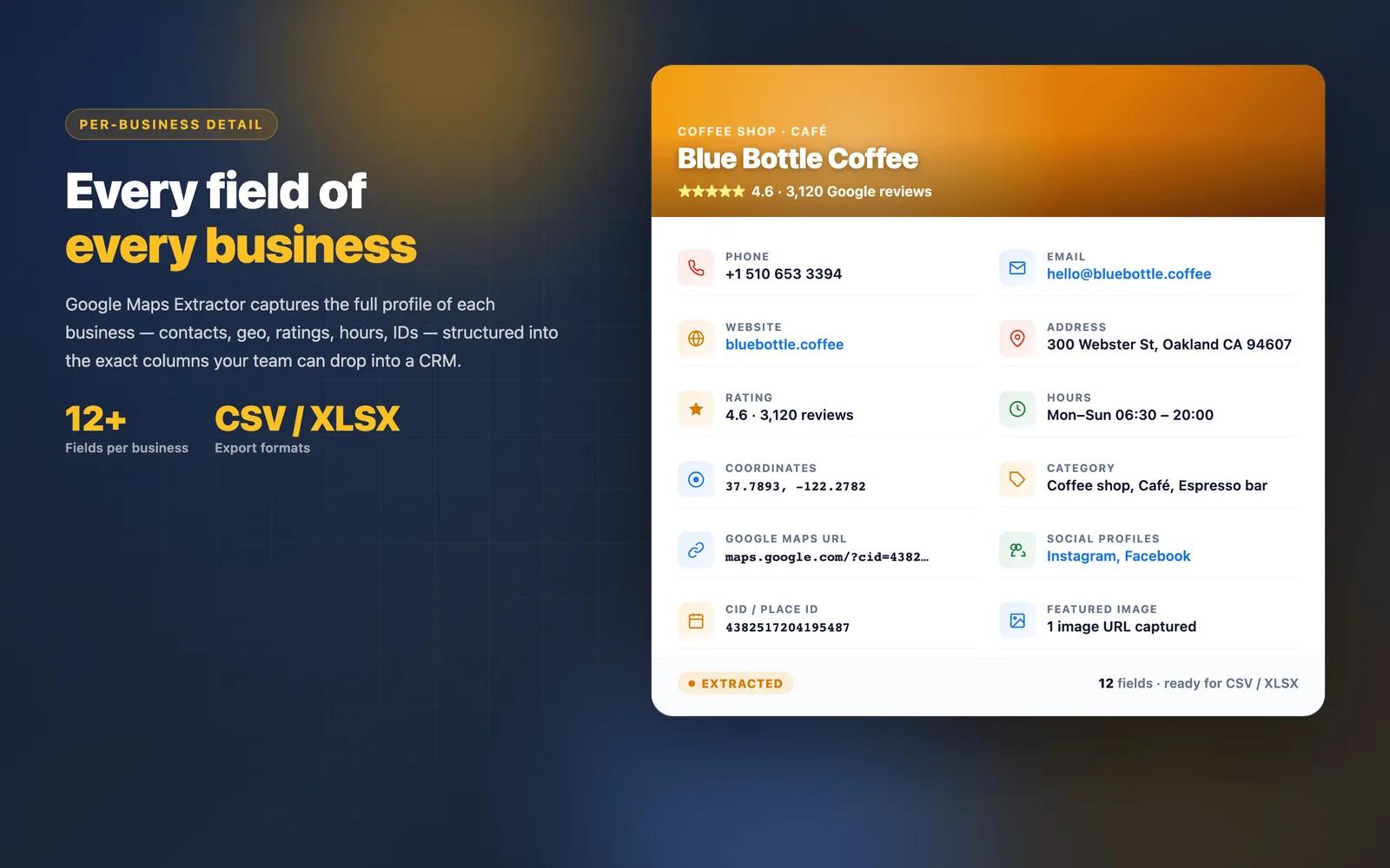 Google Maps Extractor export fields and lead data features